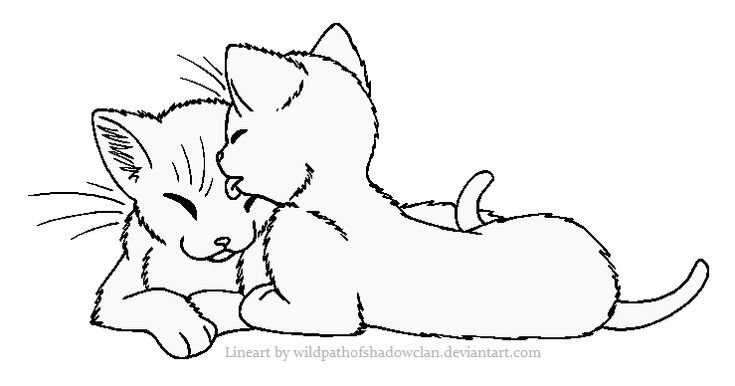 Кошка рисунок