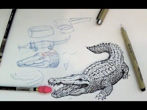 Тату крокодил эскизы