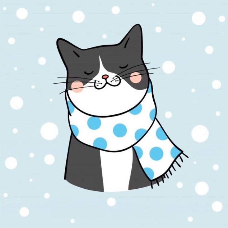 Котик в шарфике зима