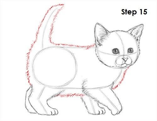 Котенок рисунок