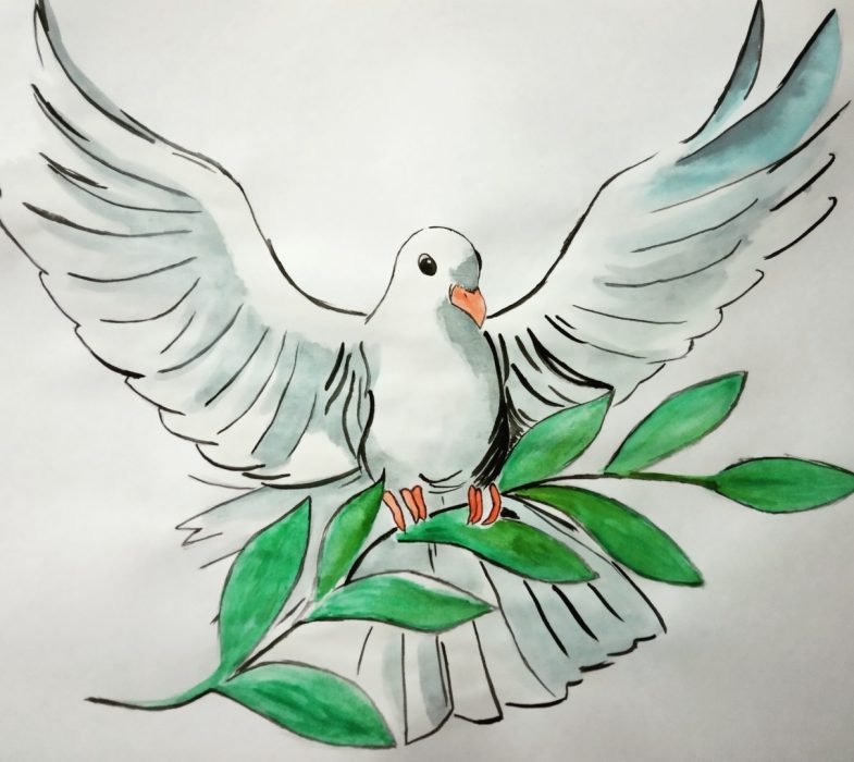 Голубь рисунок