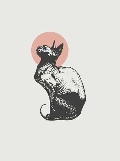 Кот эскиз Минимализм