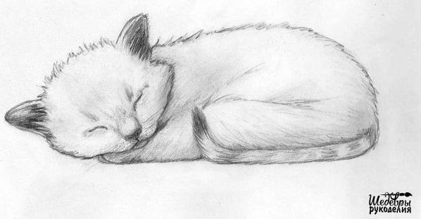 Котенок рисунок