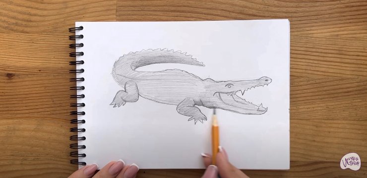 Нарисовать крокодила чёрной ручкой