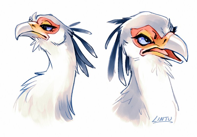 Птица секретарь furry Art