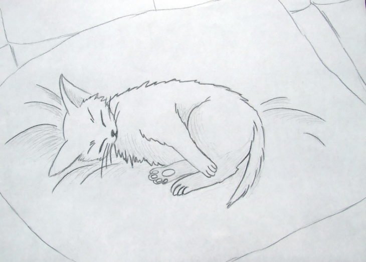 Рисунок кота для срисовки