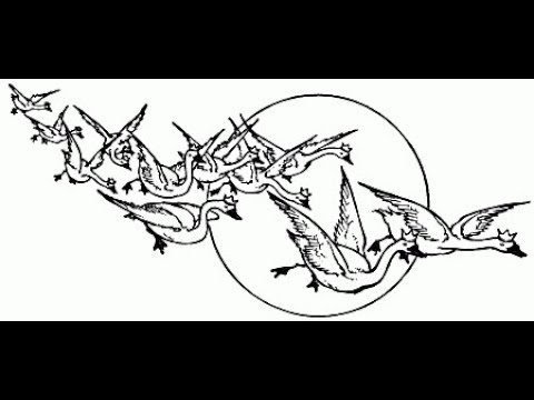 Дикие лебеди картинки