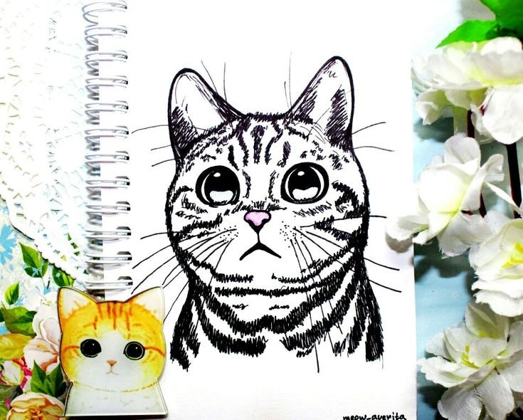 Рисунки для срисовки фломастерами
