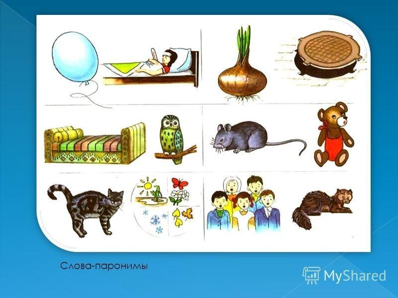 Паронимы для детей