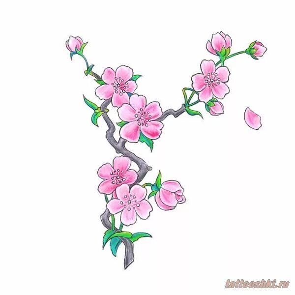 Японские цветы эскиз