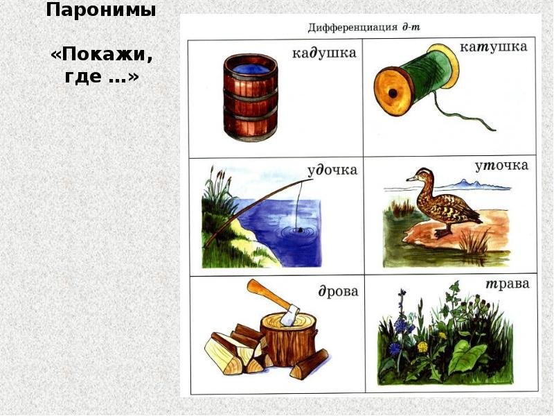 Слова паронимы