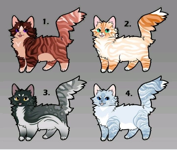 Коты Воители окрасы адопты