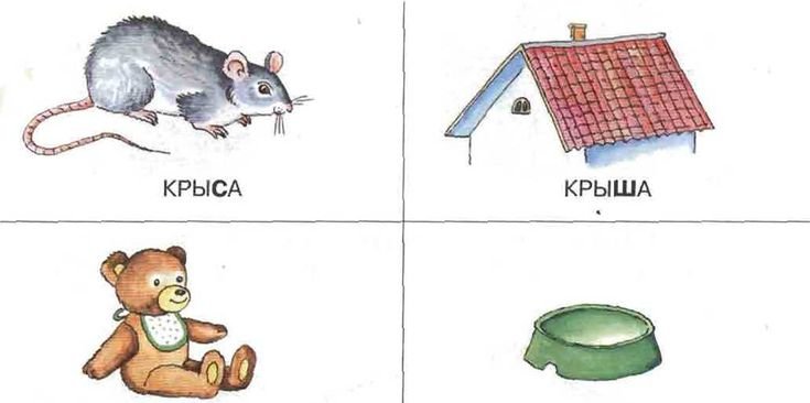 Паронимы с-ш