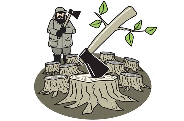Вырубка леса для детей