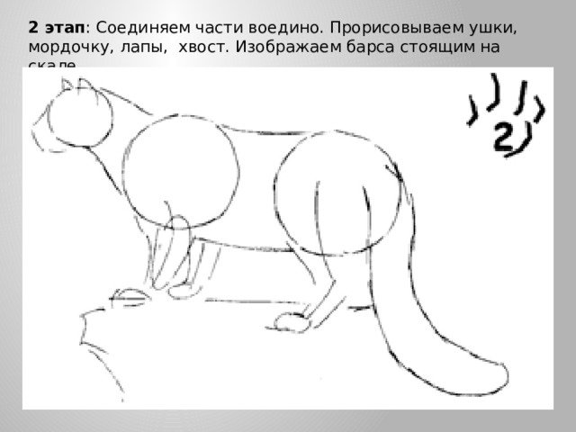 Снежный барс легкий поэтапно