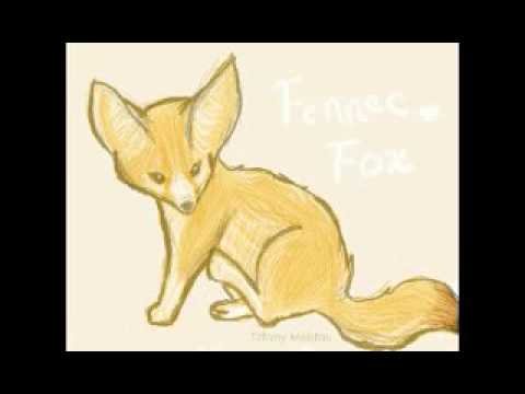 Фенек карандашом