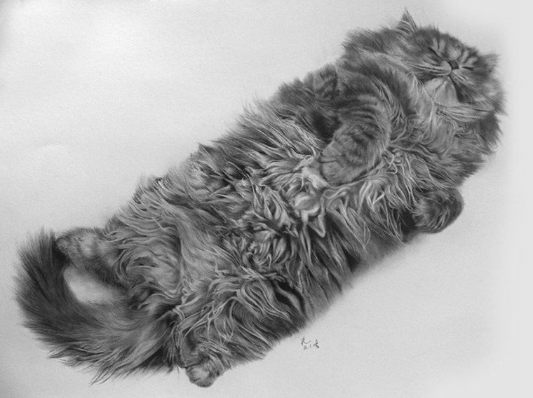 Пол Лунг (Paul lung)