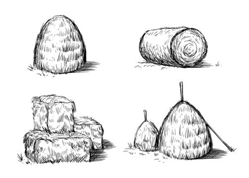 Сено карандашом