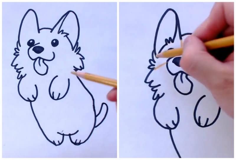Корги рисовать поэтапно