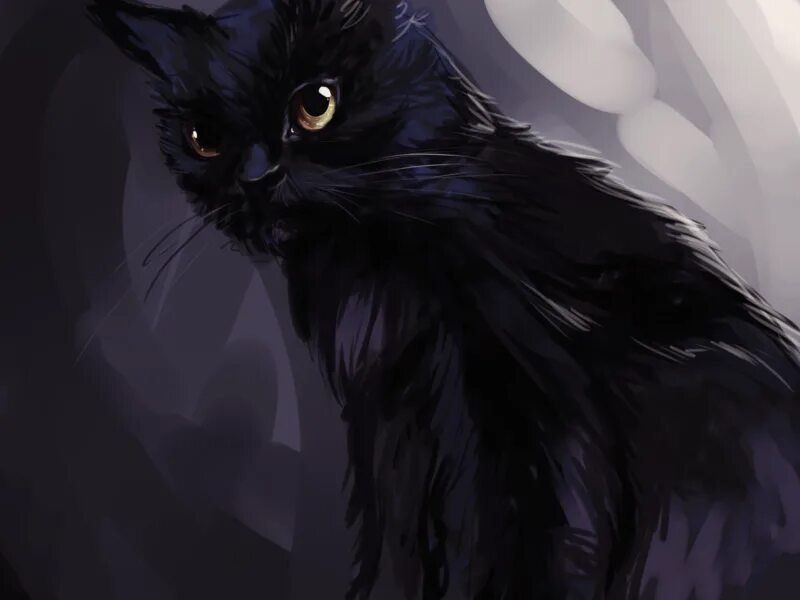 Чёрный кот