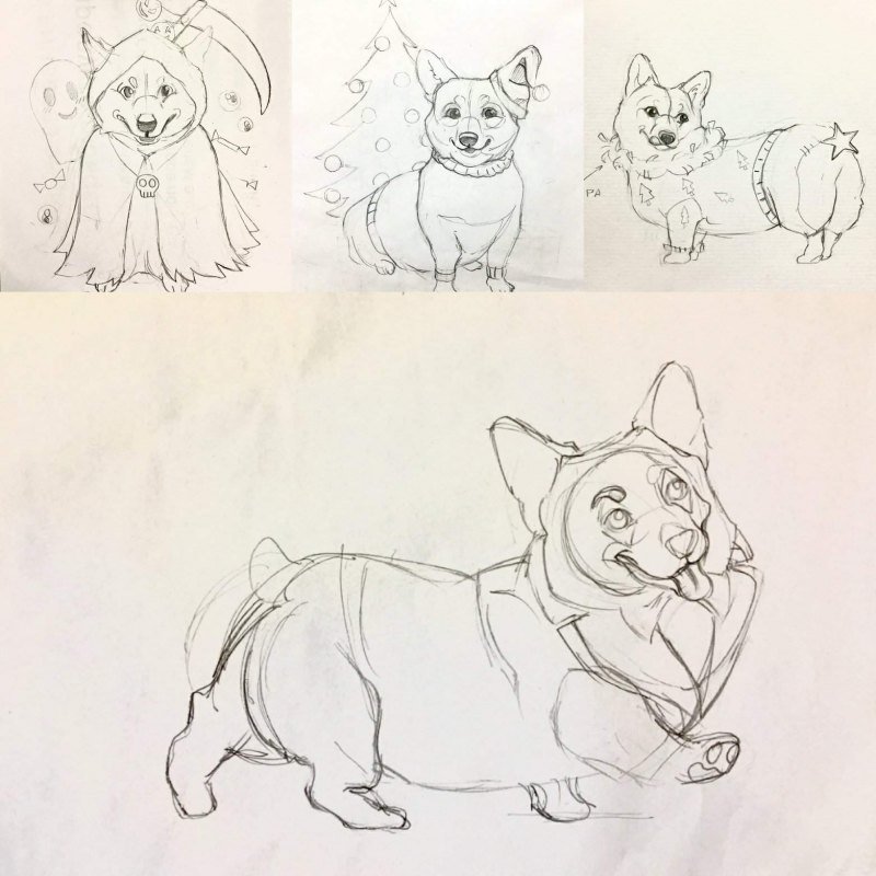 Корги рисунок карандашом для срисовки