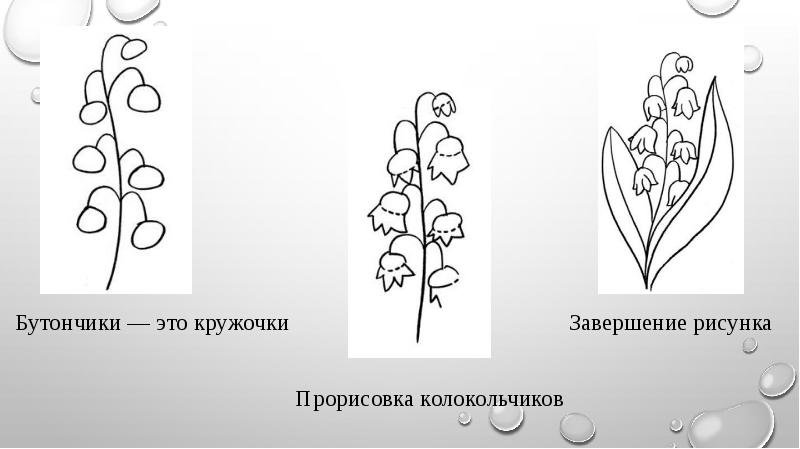 Ландыш схема рисования