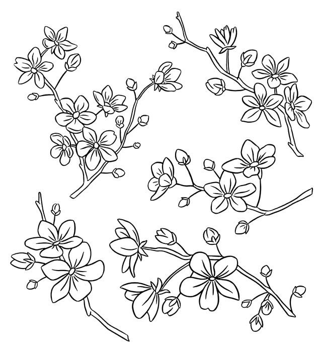 Цветы рисунок
