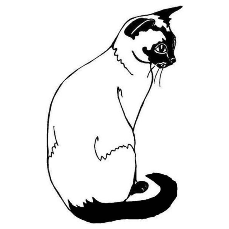 Кошка рисунок