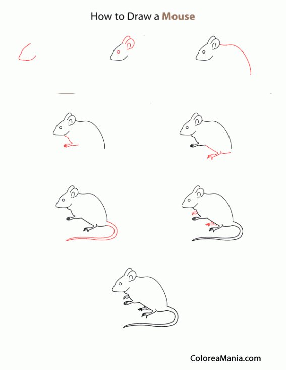 Поэтапный рисунок мышки