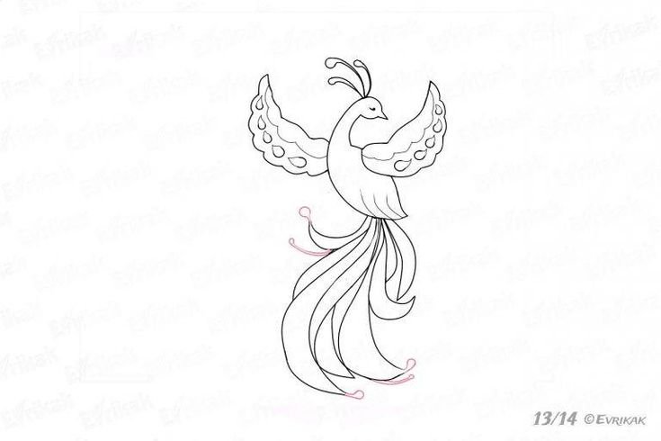 Жар птица рисунок легкий