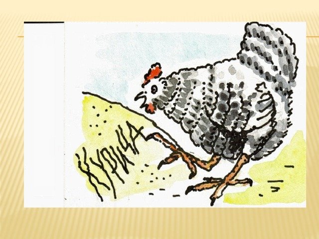 Курица лапой фразеологизм