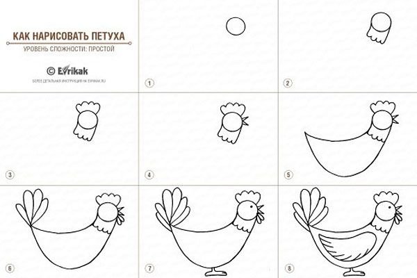 Рисование петуха поэтапно