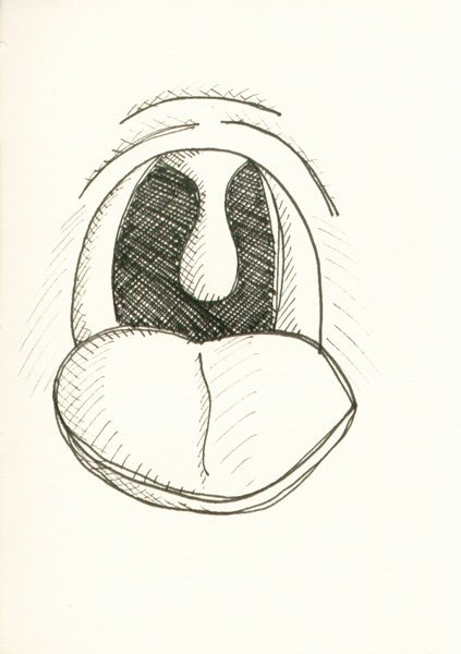 Глотка рисунок