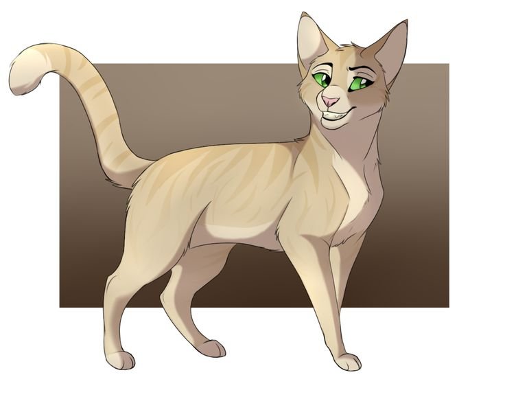 Писания буря коты Воители
