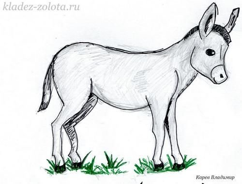 Ослик рисунок для срисовки