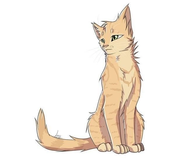 Писания буря коты Воители