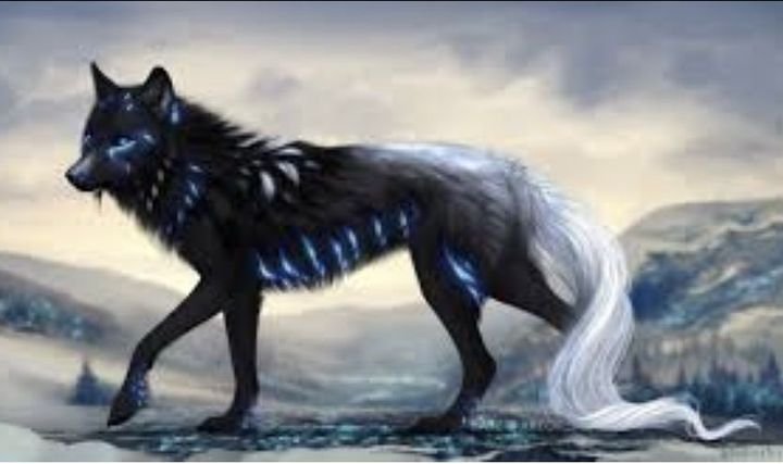 Ледяные волки