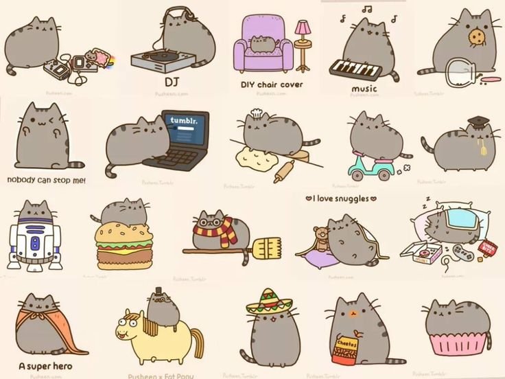 Котик рисунок