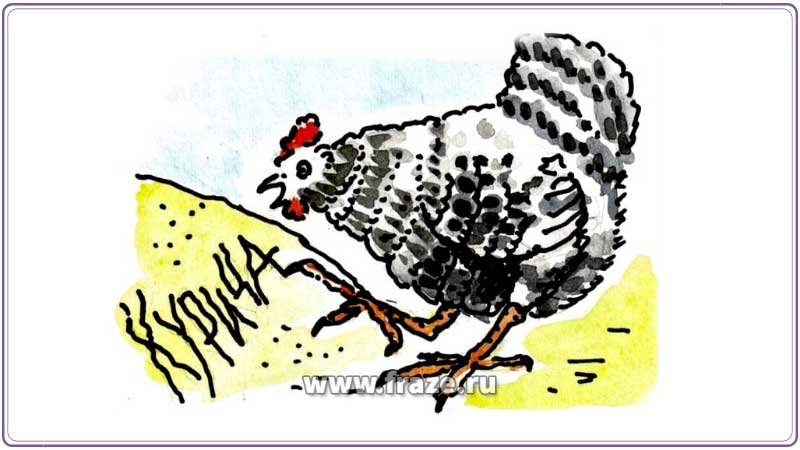 Курица лапой
