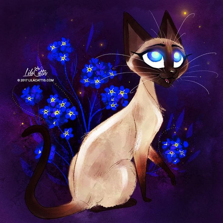 Сиамский кот коты Воители арт