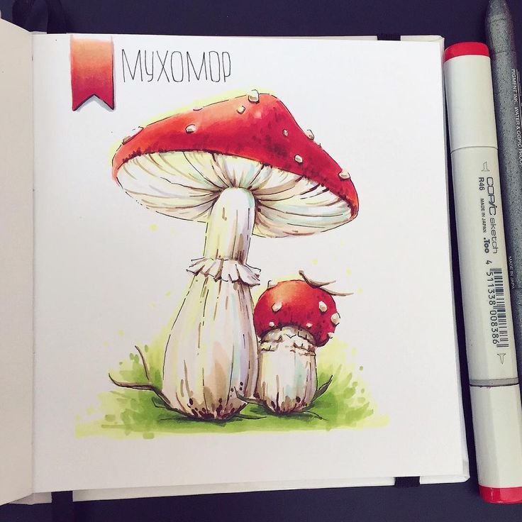 Рисунки маркерами грибы