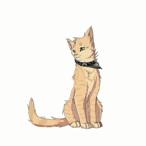 Коты Воители буря