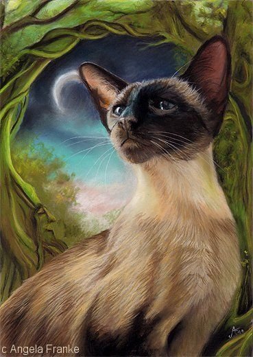 Сиамская кошка арты