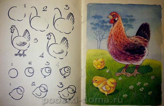 Рисование курица