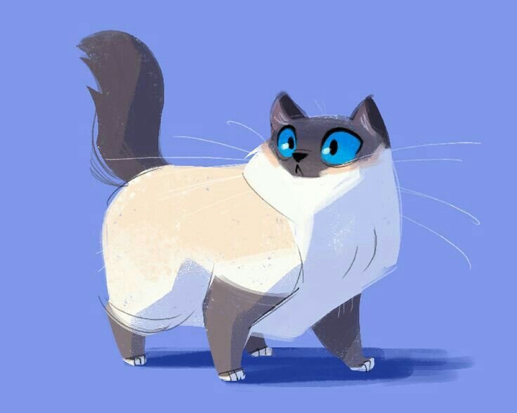 Сиамская кошка рисунок