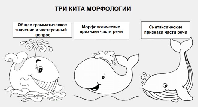 Рисунок трех китов