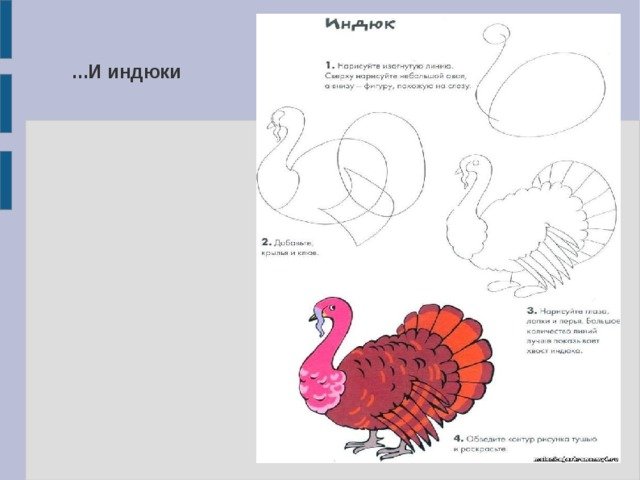 Схема рисования индюка для детей