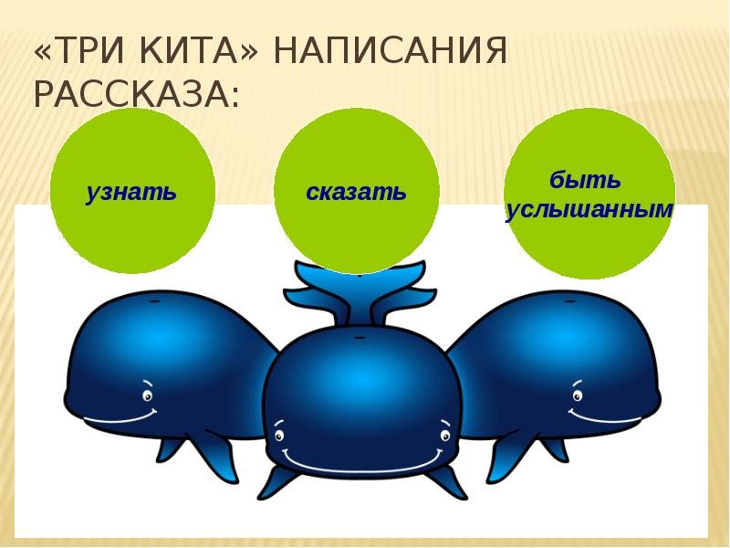 Три кита