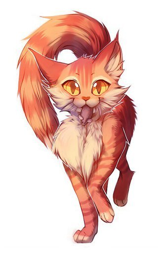 Коты Воители рыжая кошка