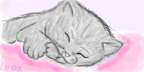 Рисунок спящего кота карандашом